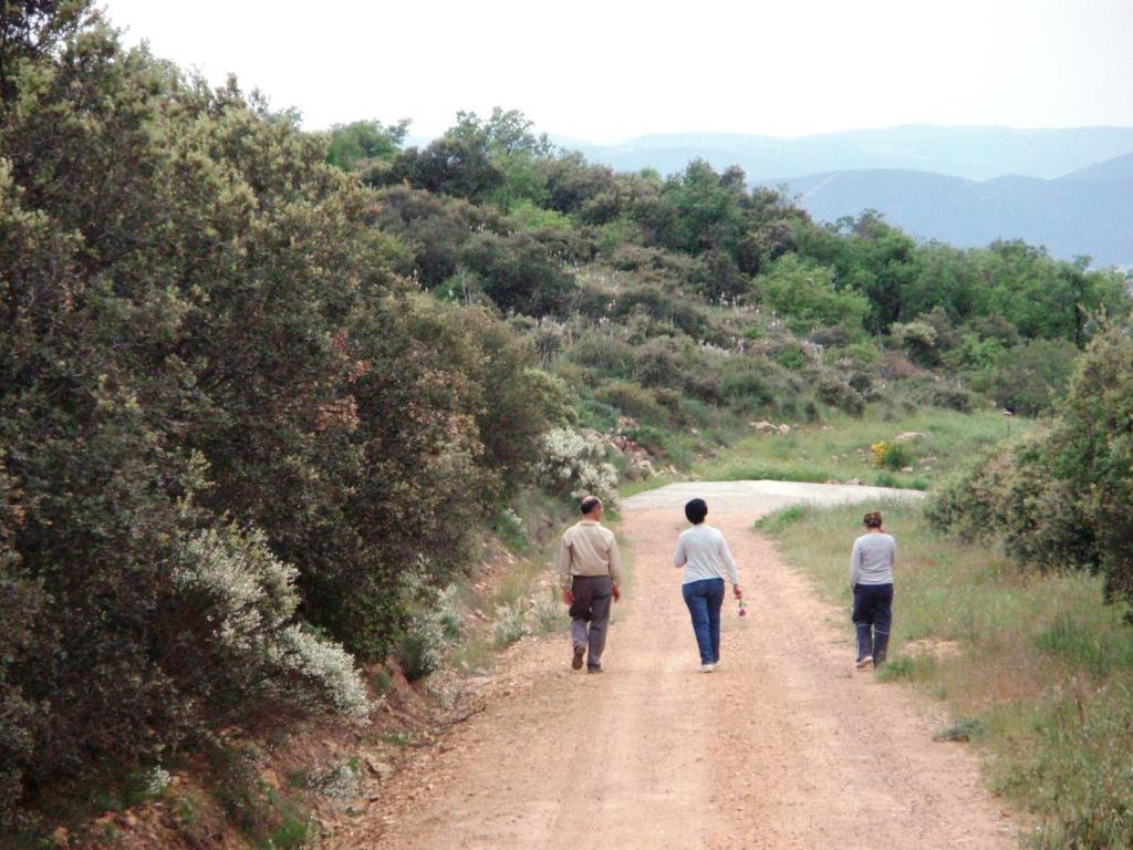 Casa rural Laureles Urda